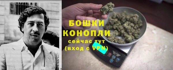 меф Снежинск