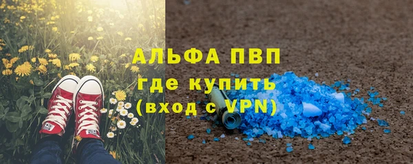 мяу мяу мука Баксан