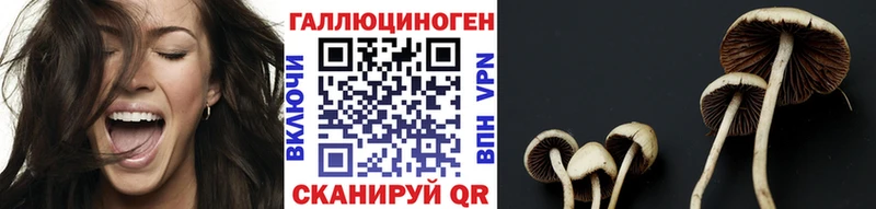 Псилоцибиновые грибы Cubensis  kraken зеркало  Сердобск 